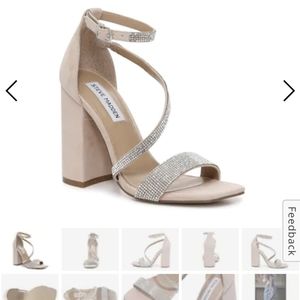 Steve Madden Varali 6.5 nude